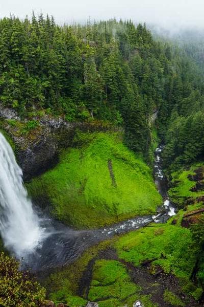 Gucci Ace Leather Sneakers White