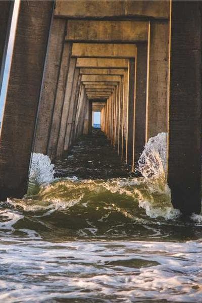 Louis Vuitton Neverfull MM Monogram